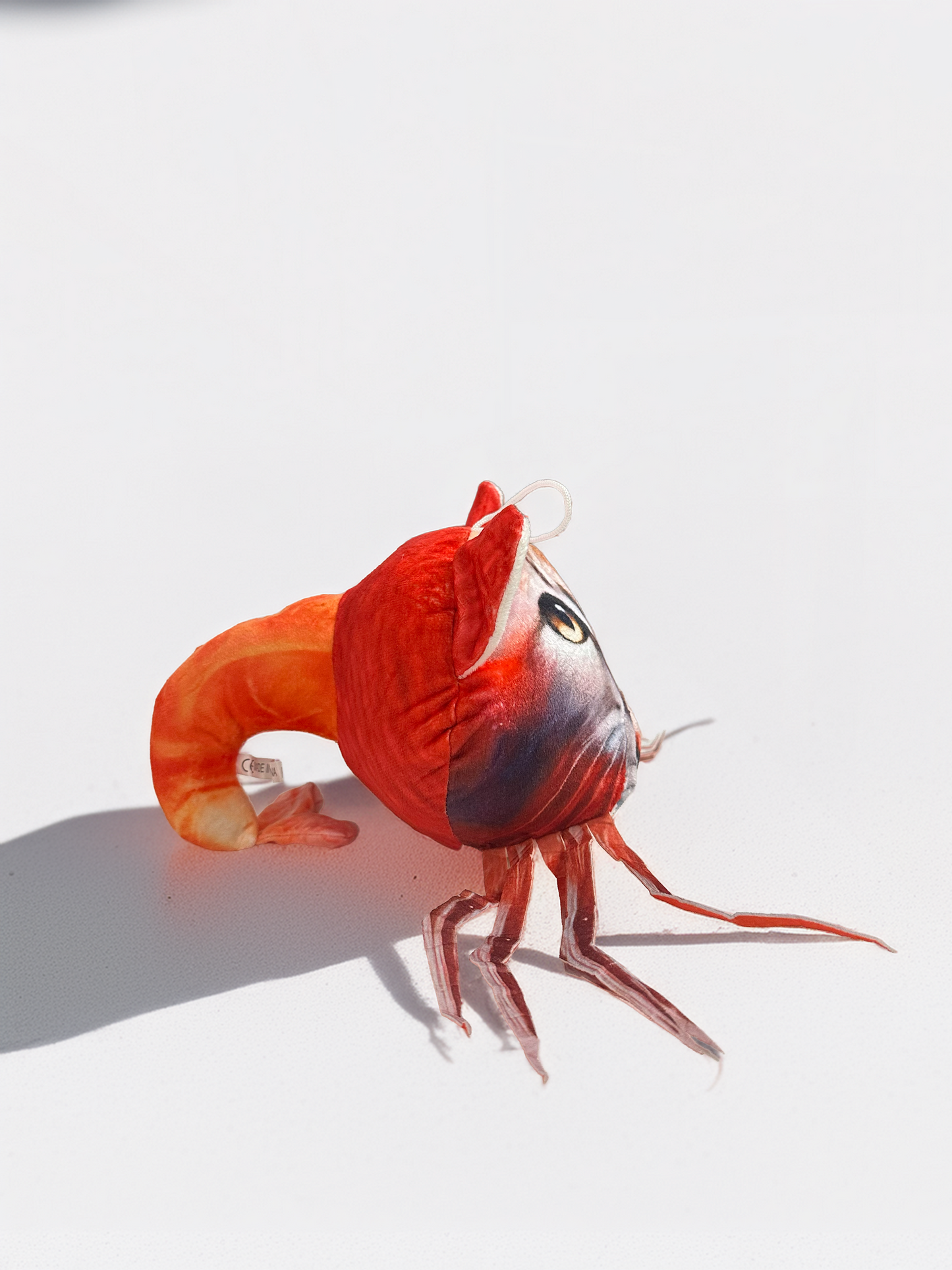 Brainrot Plushie – Limited Viral Edition